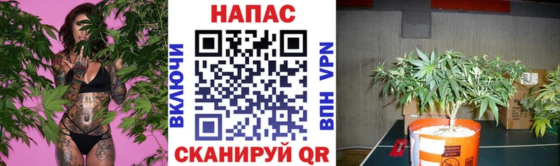 Купить Псилоцибиновые грибы  Бошки Шишки  APVP  ГАШ  Меф мяу мяу  Cocaine  Донской