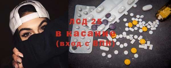 шишки Аркадак
