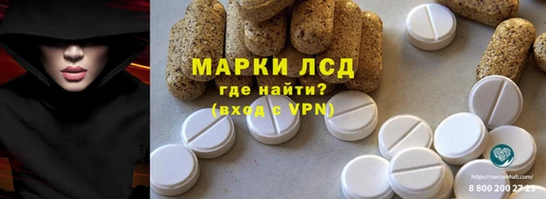 шишки Аркадак