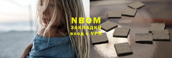 шишки Аркадак