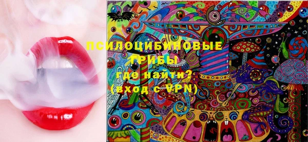 шишки Аркадак