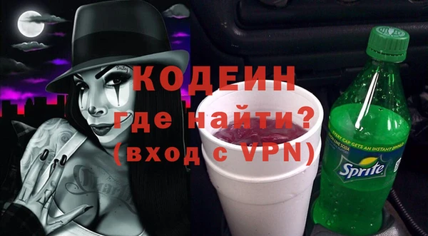 сатива Арсеньев