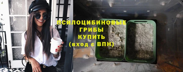 сатива Арсеньев