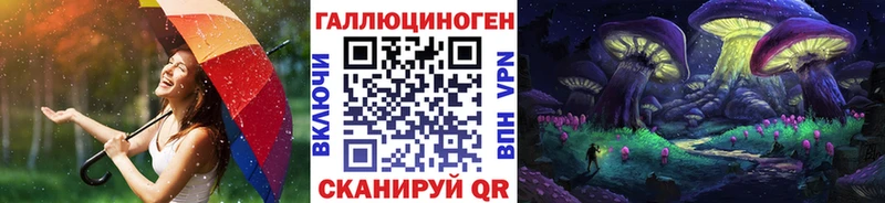 Купить  Донской  Псилоцибиновые грибы GOLDEN TEACHER 
